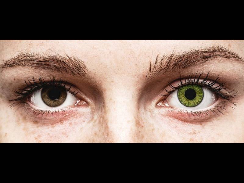 Свежо зелени (Fresh Green) - TopVue Color daily (10 лещи)