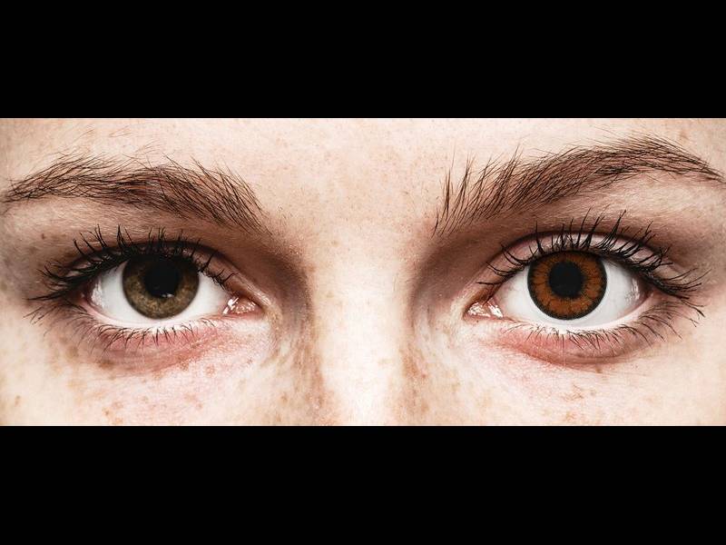 Красив лешник (Pretty Hazel) - ColourVUE BigEyes (2 лещи)