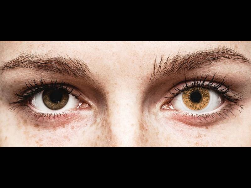 Лешник (Hazel) - FreshLook Colors - с диоптър (2 лещи)