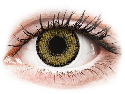 SofLens Natural Colors Dark Hazel - с диоптър (2 лещи) - Coloured contact lenses