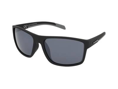 Blizzard POLSF703 110