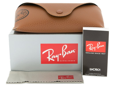 Ray-Ban Original Aviator RB3025 029/30  - Preview pack (illustration photo)