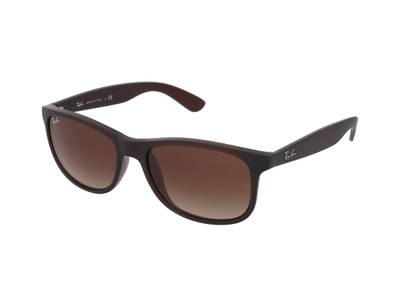 Ray-Ban RB4202 607313 