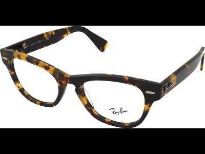 Ray-Ban Laramie RX2201V 8116