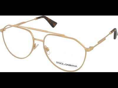 Dolce & Gabbana DG1353 02